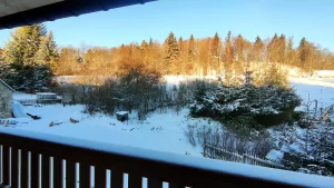 WellAktiv Ferienwohnung Geising im Osterzgebirge