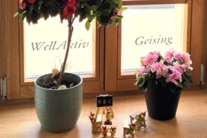 WellAktiv Ferienhaus mit 5 Ferienwohnungen in Geising im Osterzgebirge
